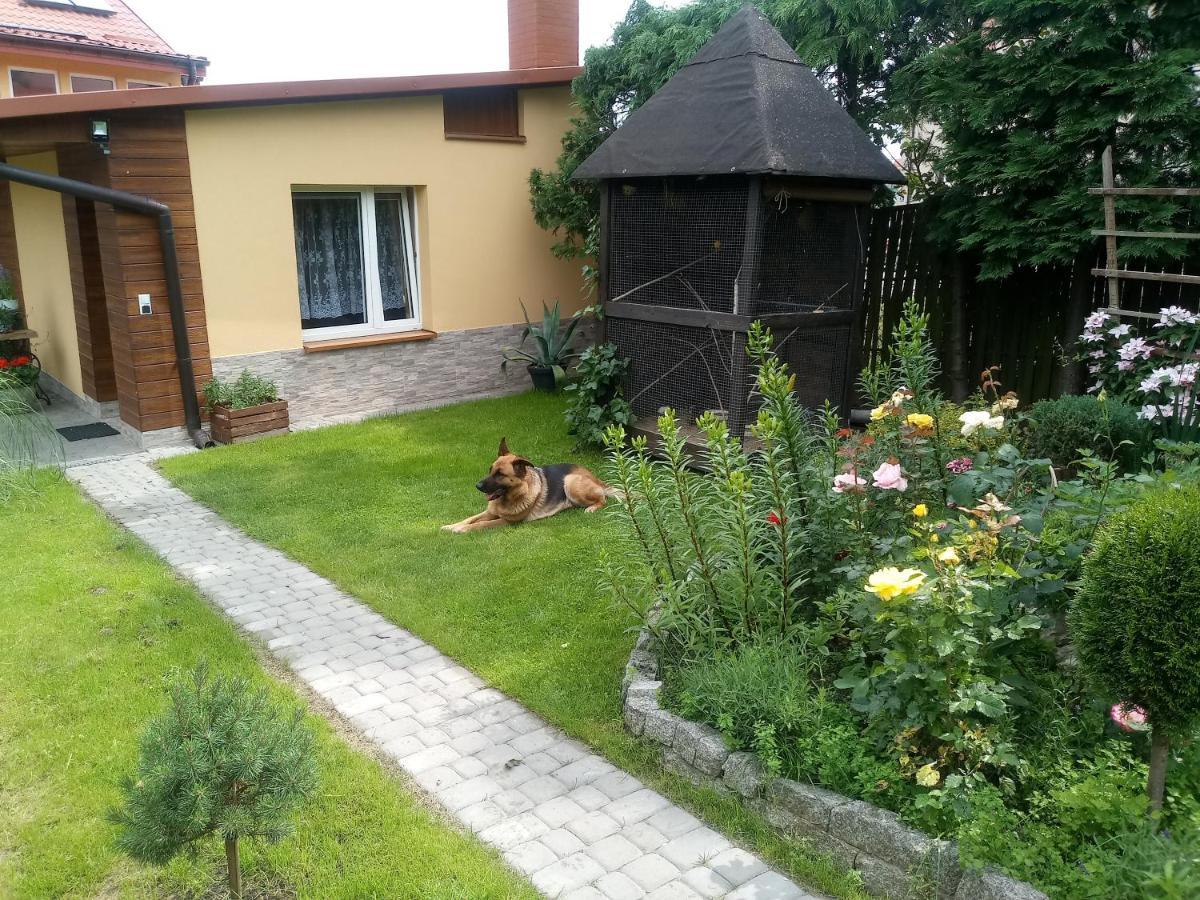Agroturystyka U Agaty Chęciny Eksteriør bilde